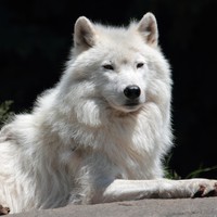 Profile Picture of Nelson Garrett (@nelson-garrett-1) on Quora