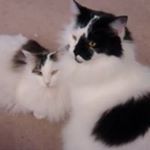 Profile Picture of Beverly Schneider (@beverly.schneider.10) on Instagram