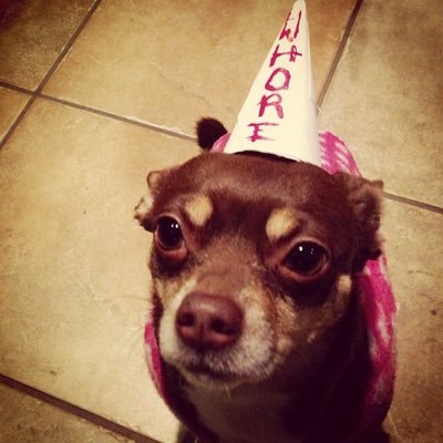 Profile Picture of Robert Longmire (@ralongmire) on Twitter