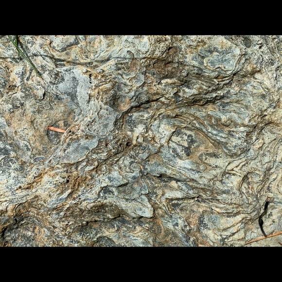 Profile Picture of Iden Ottmann (@ipottmann) on Poshmark