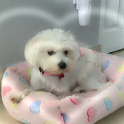 Profile Picture of A. Enriquez God-Bless-America (@a.enriquezgod-bless-americ5619) on Youtube