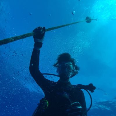 Profile Picture of Matthew Chaffee (@QeullXB) on Twitter