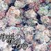 Profile Picture of David Guyette (@david.guyette.165) on Facebook