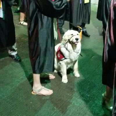 Profile Picture of Richard Marnell (@@rmarny92) on Twitter