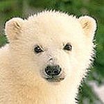 Tamar Hershkovitz - Flickr Profile Picture of Tamar Hershkovitz (@thershkovitz) on Flickr