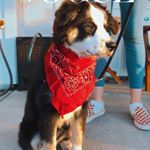 Profile Picture of remi.ray.chandler (@remi.ray.chandler) on Instagram
