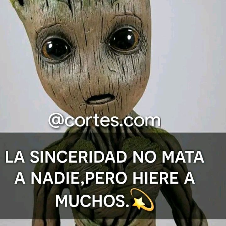 🥺💕💯 - Tiktok Profile Picture of 🥺💕💯 (@stephanie.alvrd) on Tiktok