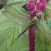 Profile Picture of Richard Mair (@richardmair2945) on Youtube