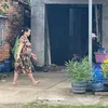Profile Picture of Lisa hom (@lisa.hom31) on Tiktok