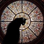 Profile Picture of Ezgi Demirezer (@ezgidemirezer) on Instagram