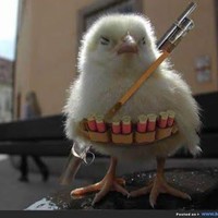 Profile Picture of Tyler Burgett (@tyler-burgett-4) on Quora