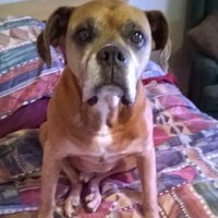 Josh Leard - Quora Profile Picture of Josh Leard (@josh-leard) on Quora