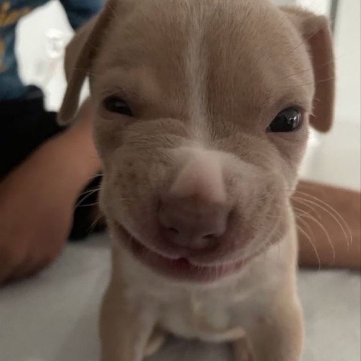 Profile Picture of Mark Briel (@markbriel0) on Tiktok