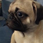 Profile Picture of danny gonzalez (@dannygonzalez311) on Instagram