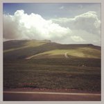 Profile Picture of Christopher Scheer (@pionegani) on Instagram