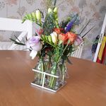 Profile Picture of Paula Stott (@stottpaula) on Instagram