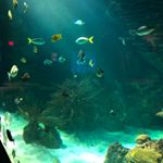 Profile Picture of Shawna Bowers (@shawna_bowerz) on Instagram