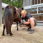 Profile Picture of Herbert Höck (@Herbert-Höck) on Facebook