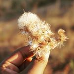 Profile Picture of malcolm (@lance.x._) on Instagram