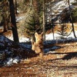 Profile Picture of Pietro Castelli (@castelli1825) on Instagram