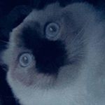 Profile Picture of evan.rudnicki (@evan.rudnicki4) on Instagram