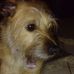 Profile Picture of Christl Kemnitzer (@Christl-Kemnitzer) on Facebook