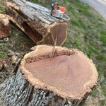 Profile Picture of Brian Cerny (@theprofessionaltreecare) on Instagram