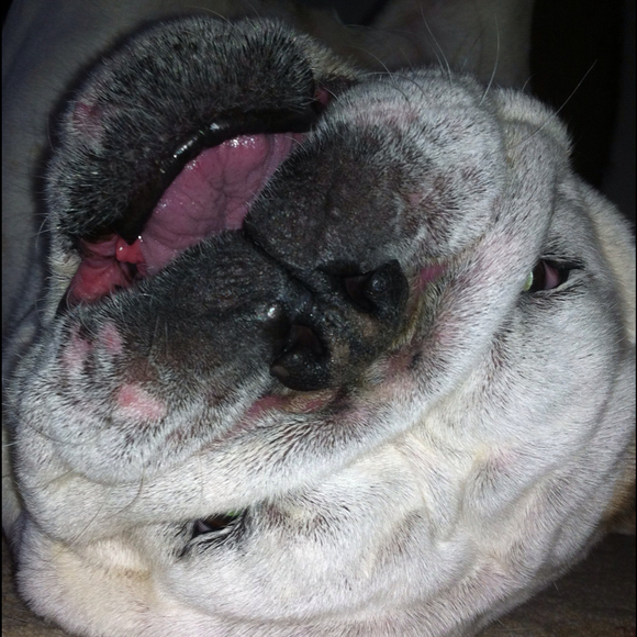 Profile Picture of Jacci Winkelman (@jacci84) on Poshmark