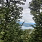 Profile Picture of David Mccallum (@david.mccallum.603840) on Facebook