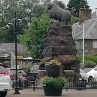 Profile Picture of Tony Phelan (@tonyphelan14) on Twitter