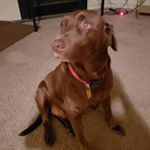 Profile Picture of CHRISTIAN DONAHUE (@eagles_and_bryce_harper_fan) on Instagram