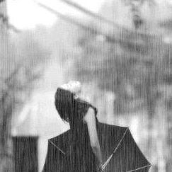 Profile Picture of Celi Nguyen (@Bum.Nguyen.n3y) on Facebook