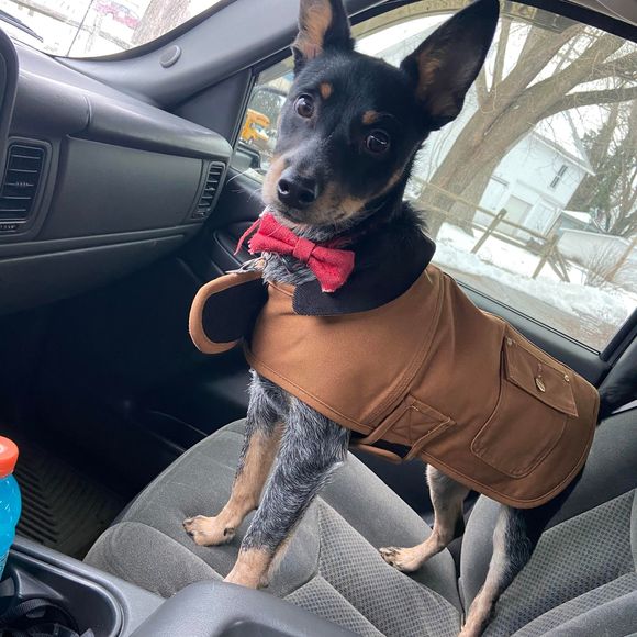 Profile Picture of Jacob Hockenberry (@jacobhockenberr) on Poshmark