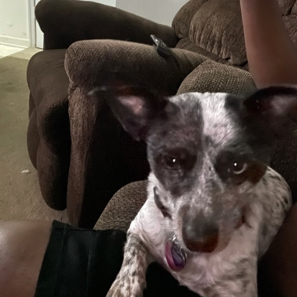 Profile Picture of Marcus Crews (@marcuscrews) on Poshmark