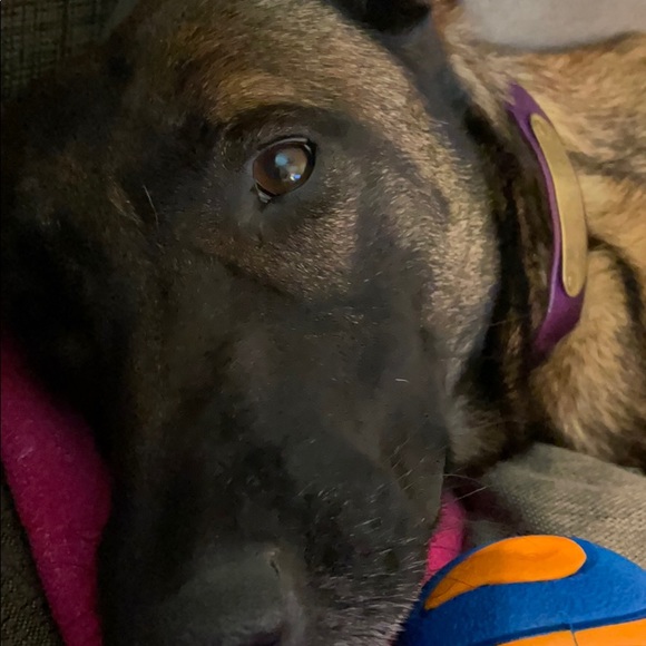 Profile Picture of Della Delanda (@santana21881) on Poshmark