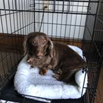 Profile Picture of Gail M. Casey (@gail.m.mantzouridis) on Instagram