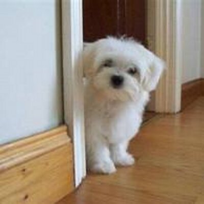 Profile Picture of Castillo Renz Bryan (@@23_bryan23) on Twitter