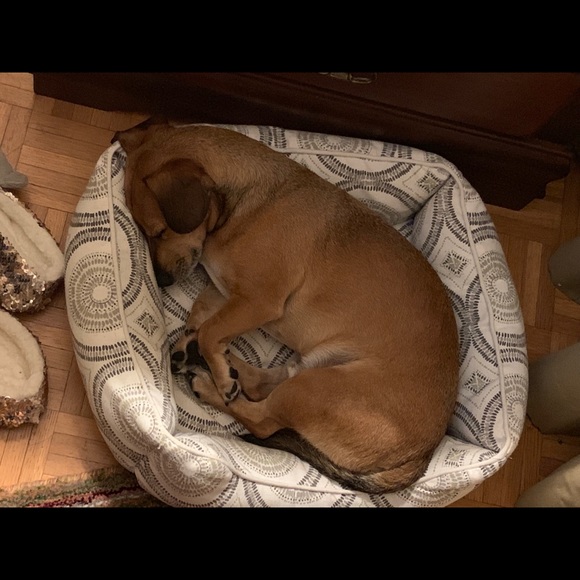 Profile Picture of Sia Mittal (@mittasia) on Poshmark