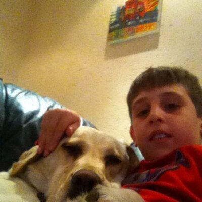 Profile Picture of Adam Weinberg (@AdamWeinberg238) on Twitter
