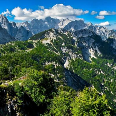 Profile Picture of Joe Steff (@jerryroundhouse) on Twitter