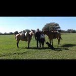Profile Picture of Frank Thiessen (@frank.thiessen.169) on Instagram