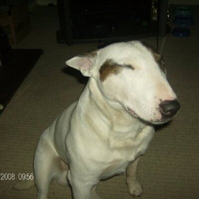 Profile Picture of Jay Heald (@jujuflows) on Twitter