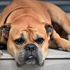 Profile Picture of Oakman_Michael_77 (@77_oakman) on Twitter