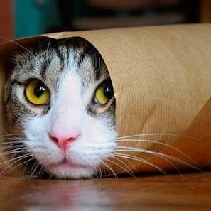 David M - Twitter Profile Picture of David M (@Sparty12851659) on Twitter