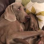 Profile Picture of David Brennan (@david.brennan.144) on Instagram