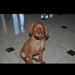 Profile Picture of Ido (@ido_brintouch) on Instagram