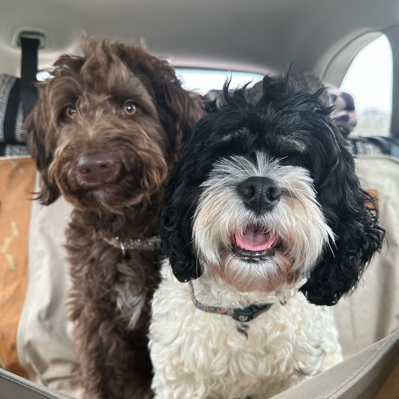 Profile Picture of Jesslyn White (@jfwhite1) on Poshmark