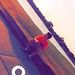 Profile Picture of Daniel Fuentez (@danielfuentez43) on Pinterest