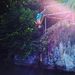 Profile Picture of Tyler Blalock (@blalockizz) on Pinterest