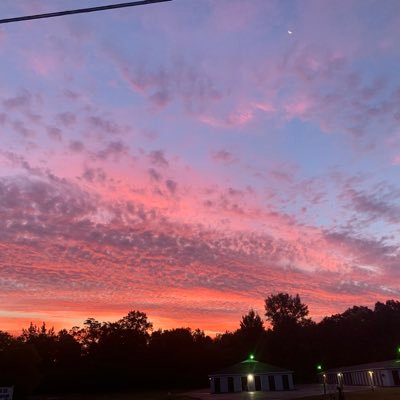 Profile Picture of Adam (@adamadkins99) on Twitter